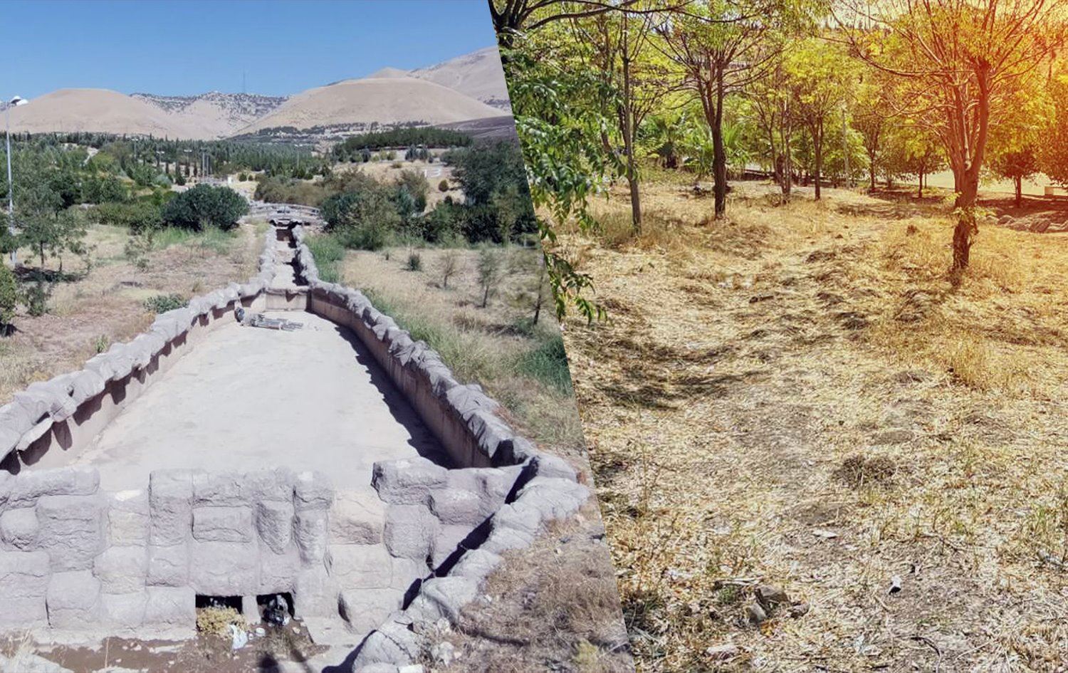 بەڕێوەبەری باخچەکانی سلێمانی: گەورەترین مەترسی لەسەر دارەکانی باخچە و پارکەکانە