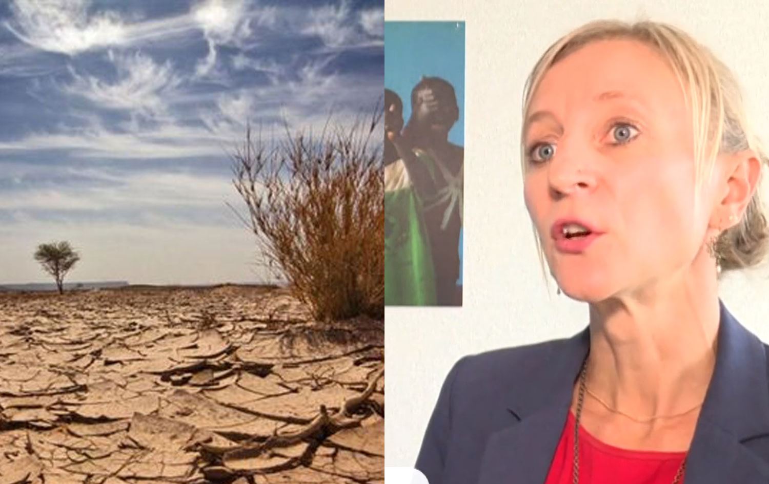 BM: İklim değişikliği ile dünyanın sınırları değişecek