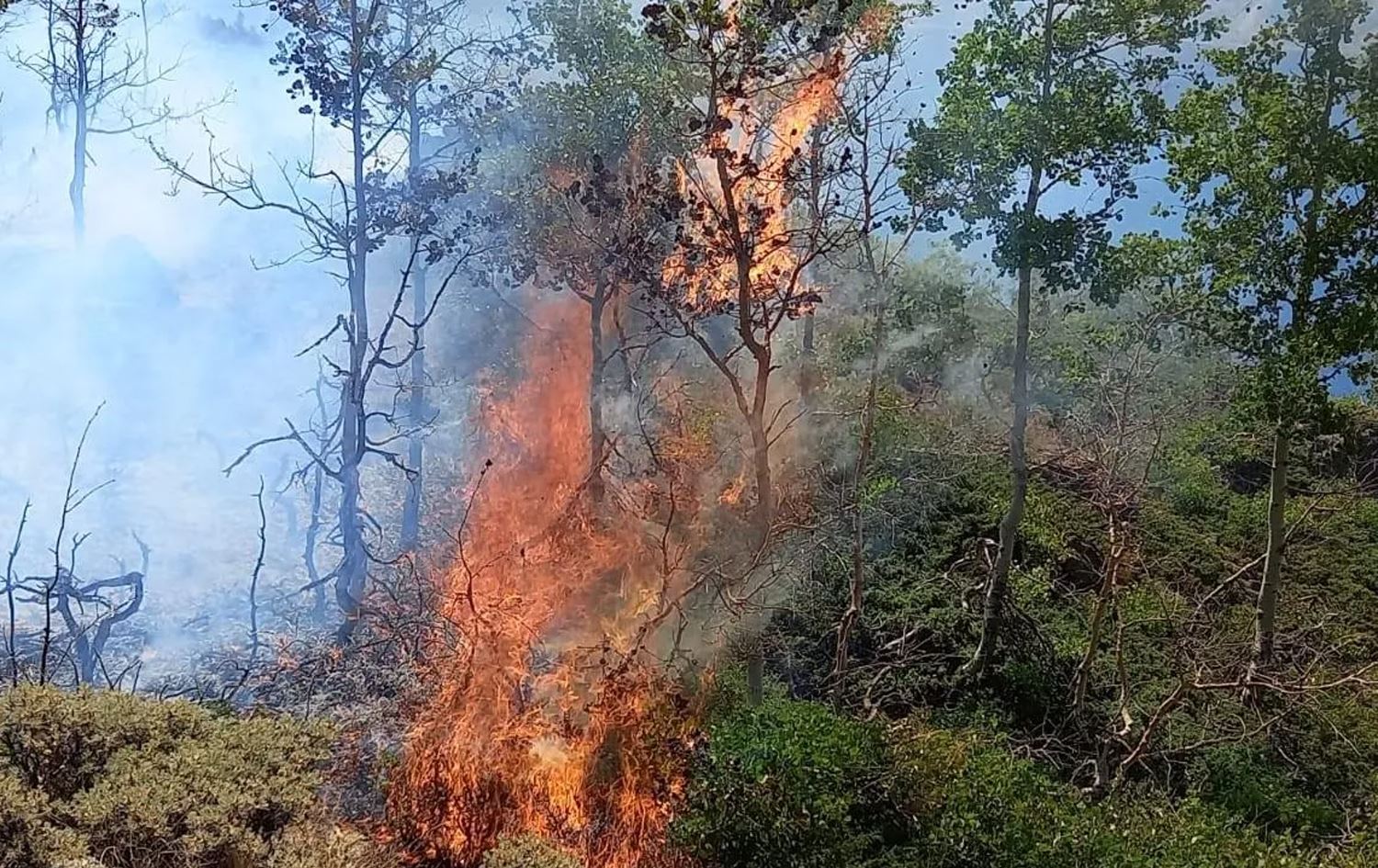 Nemrut Krater Gölü çevresinde yangın çıktı