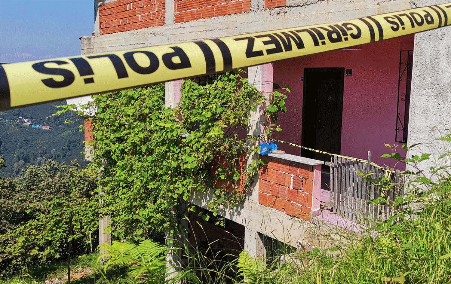 14 yaşındaki çocuk annesi, anneannesi ve ağabeyini öldürdü