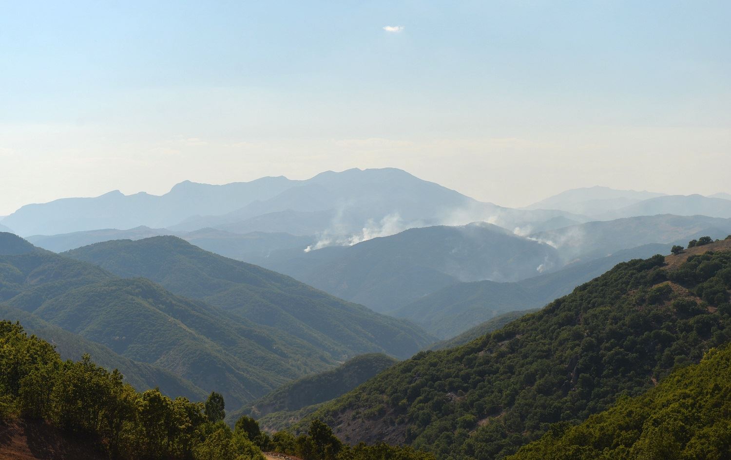دارستانەکانی پارێزگای دێرسیم 14 رۆژە دەسووتێن