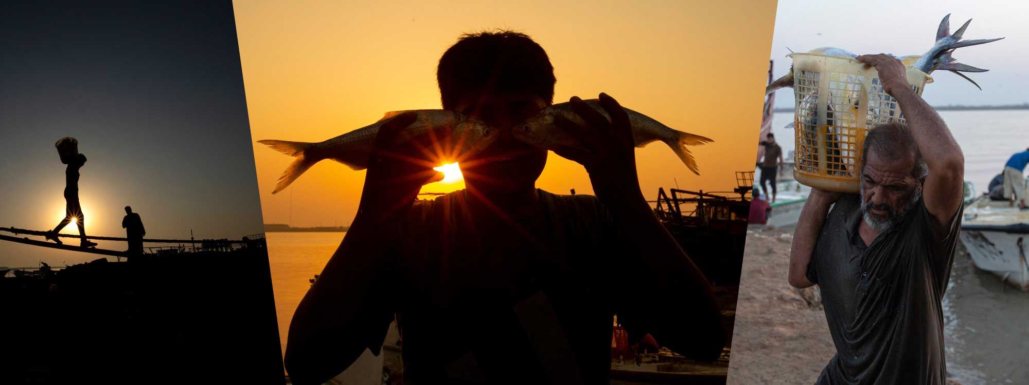 Masîgirtin li bendera Faw a Iraqê