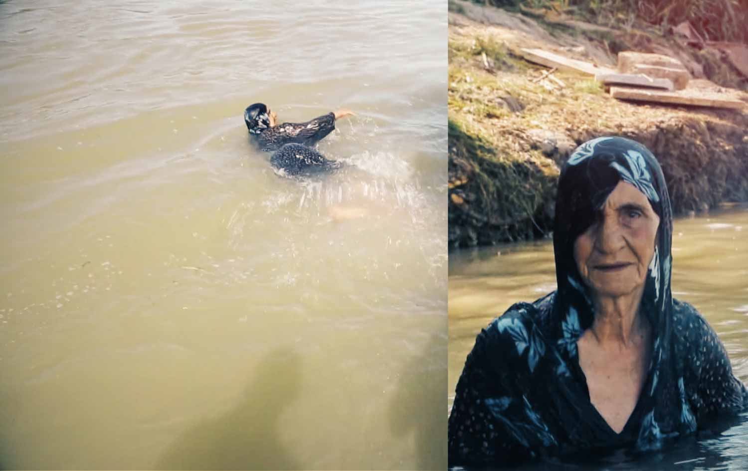 ژنێکی 85 ساڵ لە دێرەزوور خەڵکی فێری مەلەوانی دەکات