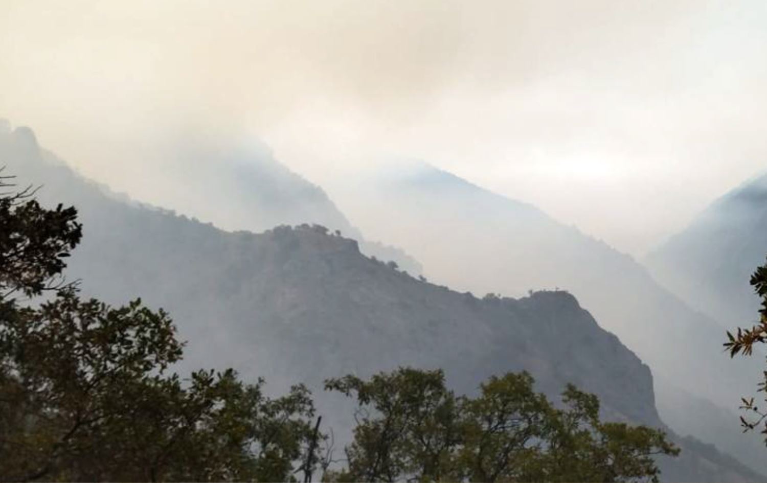 Dersim’de orman yangını:  Söndürme çalışmaları gece geç saatlere kadar sürecek