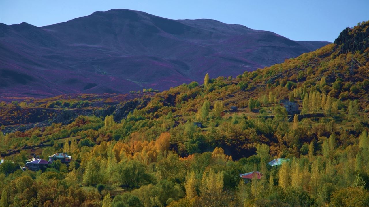 Bingöl'de ormanlara giriş 10 Ekim'e kadar yasaklandı