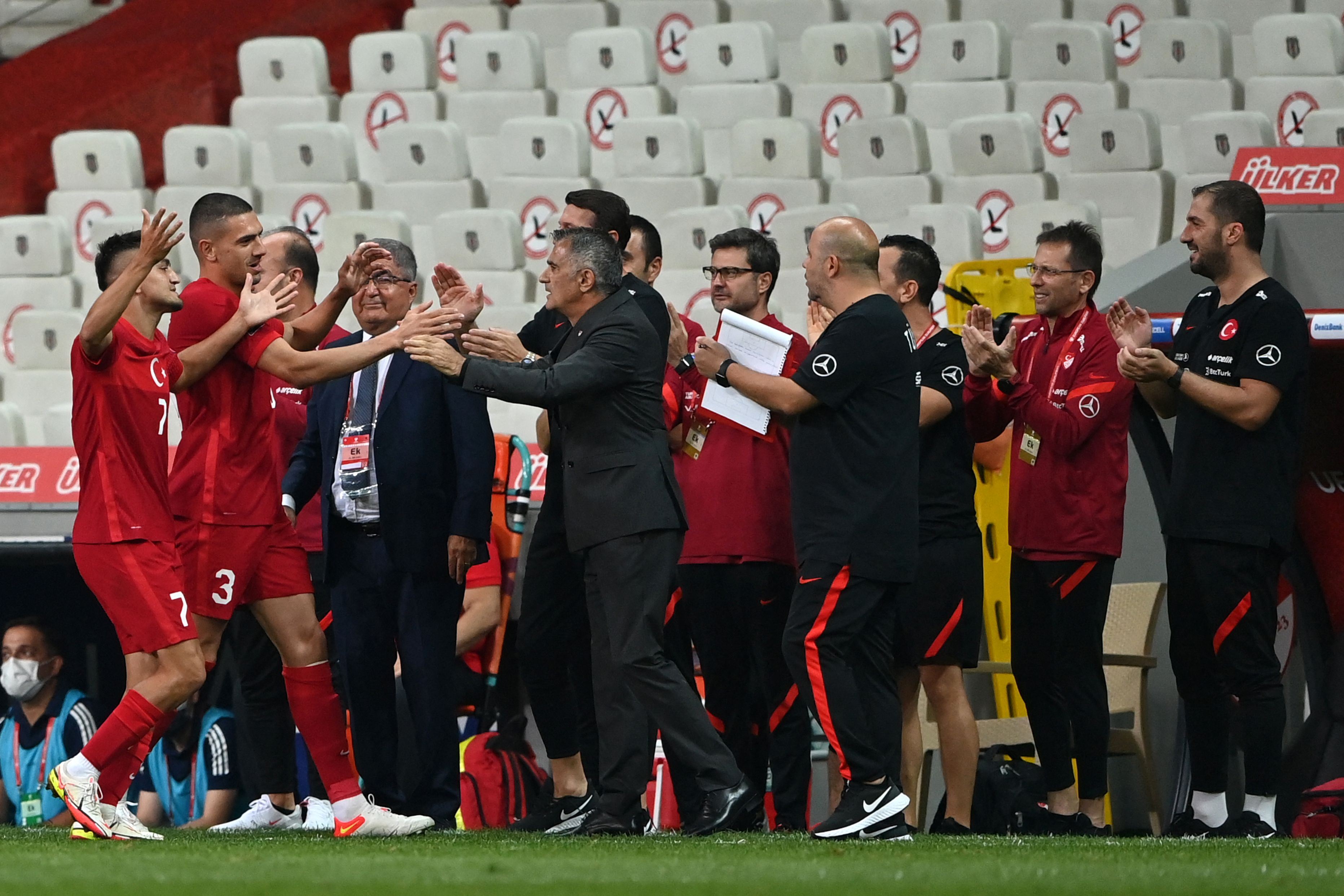 راهێنەری هەڵبژاردەی تورکیا ئامادەنییە دەستلەکاربکێشێتەوە