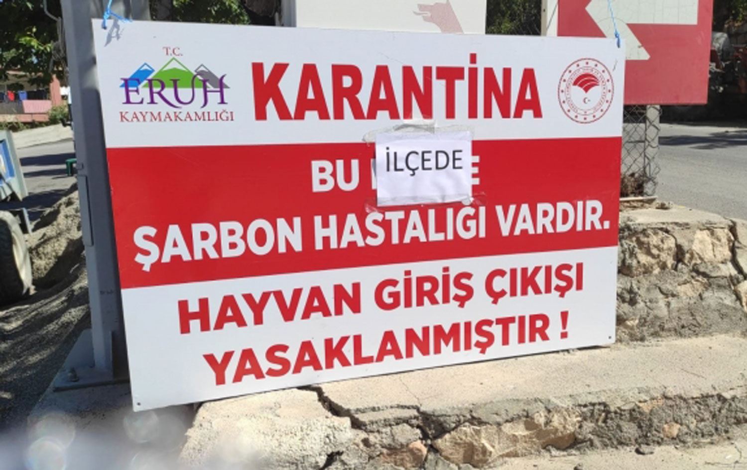 Siirt'te şarbon tespit edildi; bölge karantinaya alındı