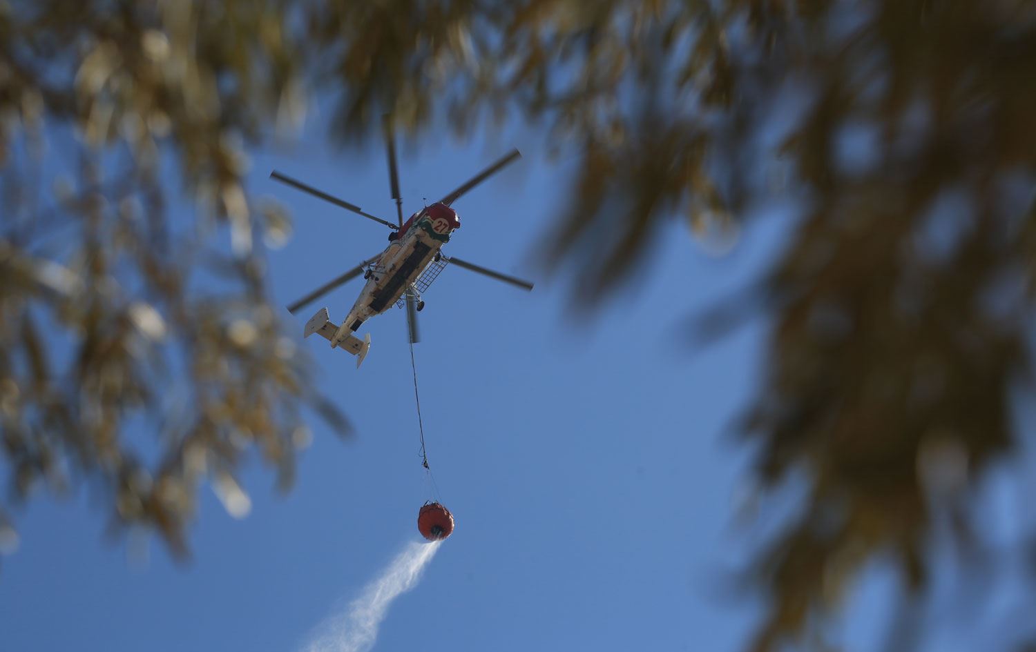 Muğla’da ormanlara giriş yasağı 1 Ekim’e kadar uzatıldı
