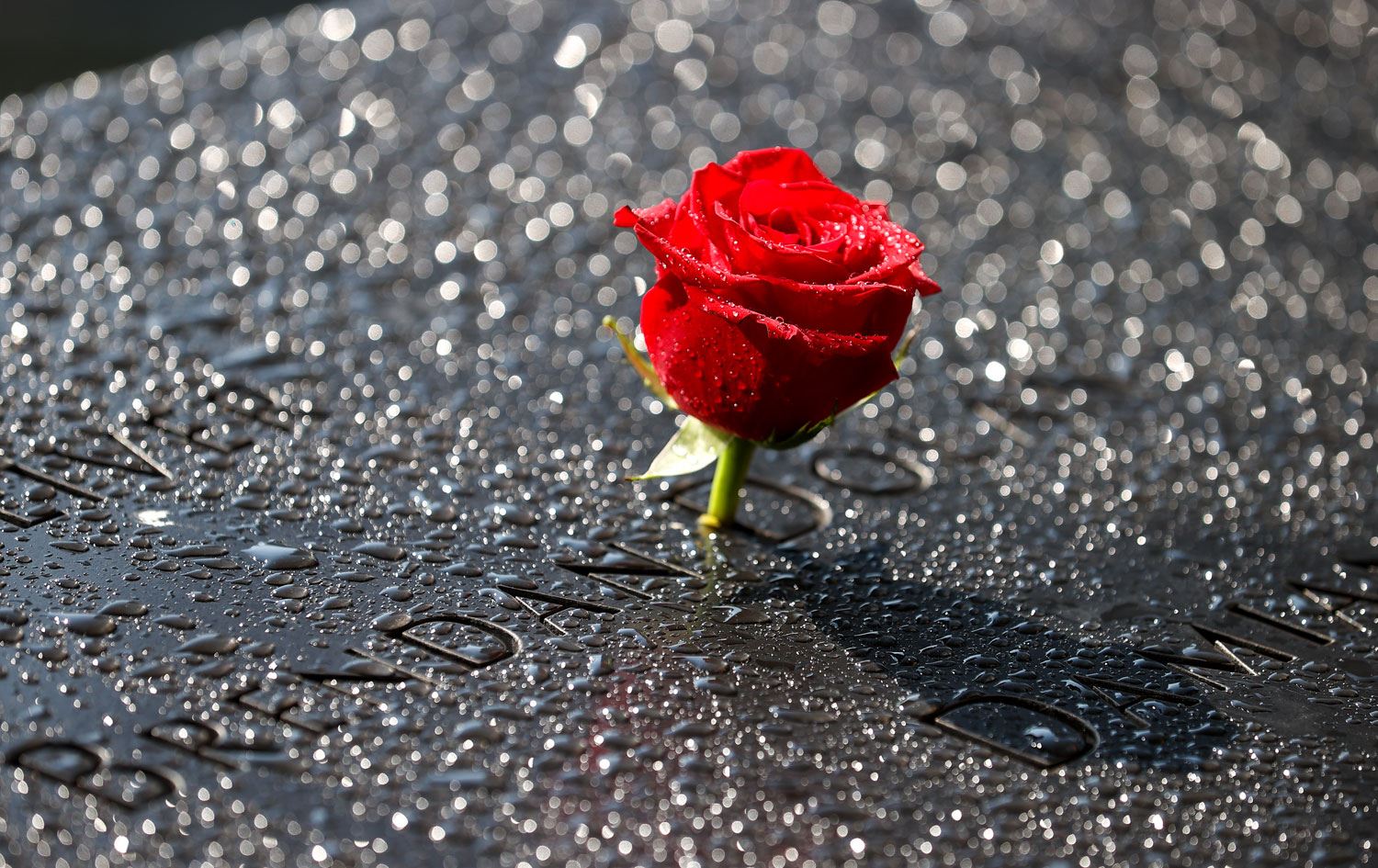 ABD 11 Eylül kurbanlarını anıyor