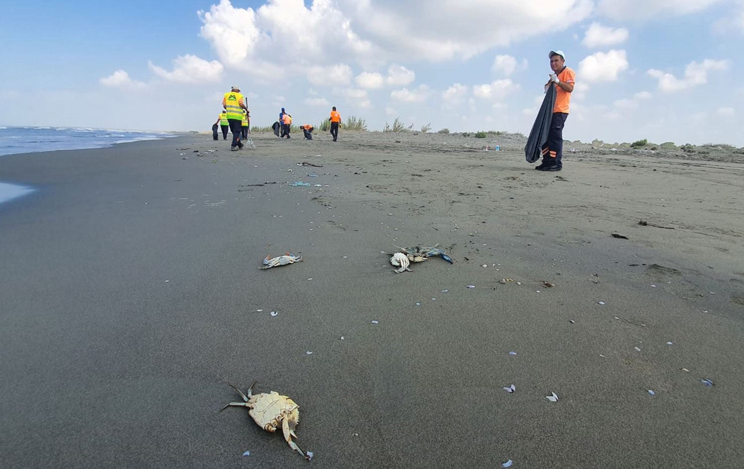 Suriye’den sızan petrol Tarsus Plajı'nda