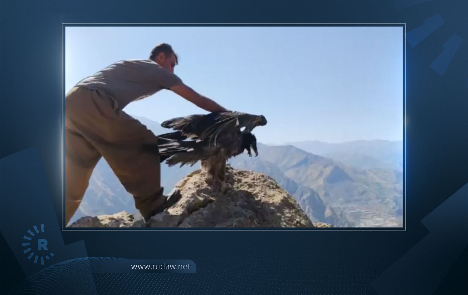 Kurdish environmentalists release vulture back into wild in Iran