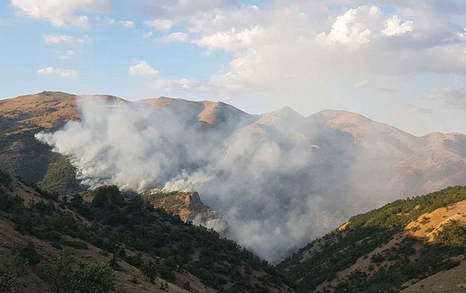 Dersim'de çıkan orman yangını kısmen kontrol altına alındı