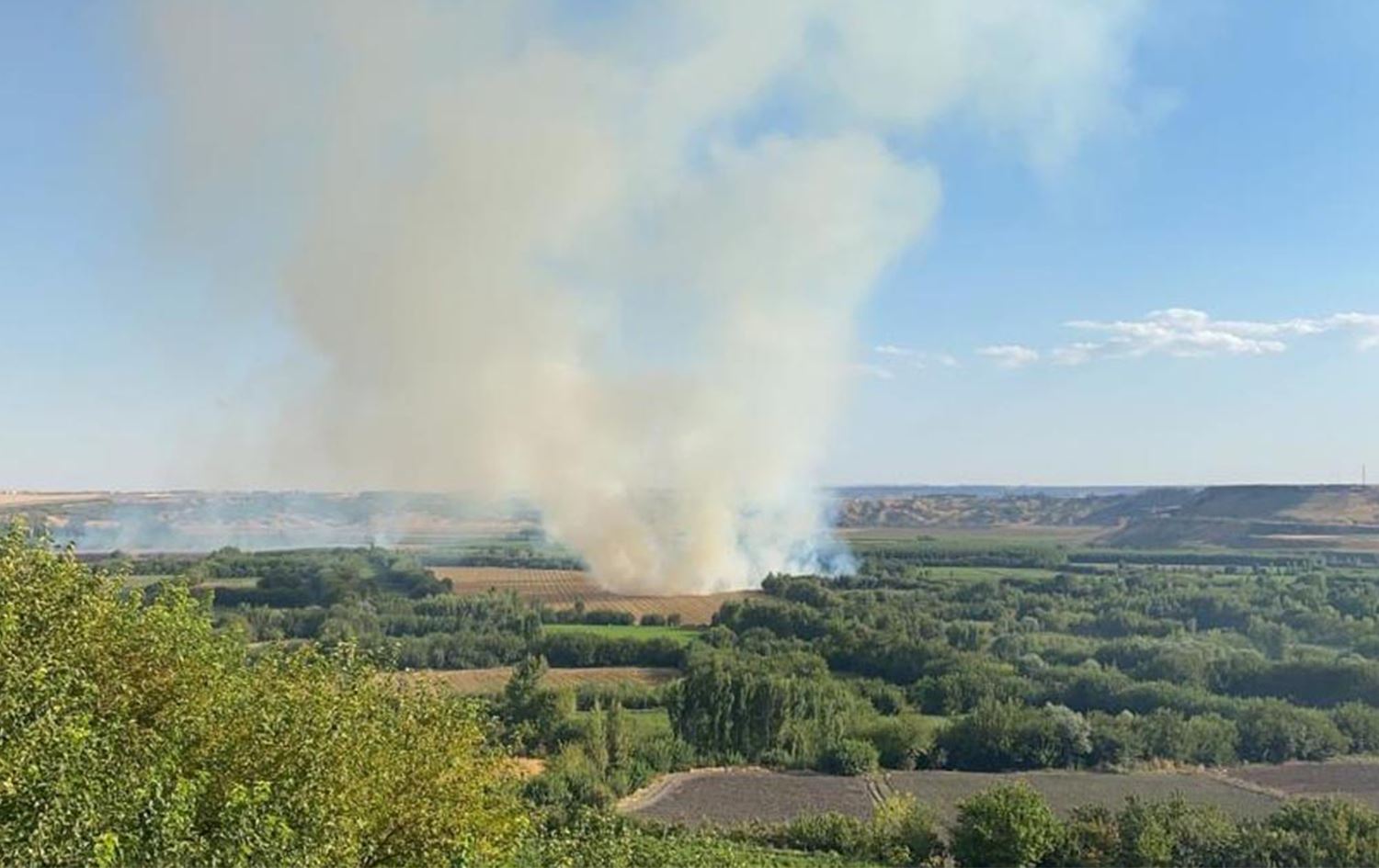 Diyarbakır'daki Hevsel Bahçeleri'nde yangın çıktı