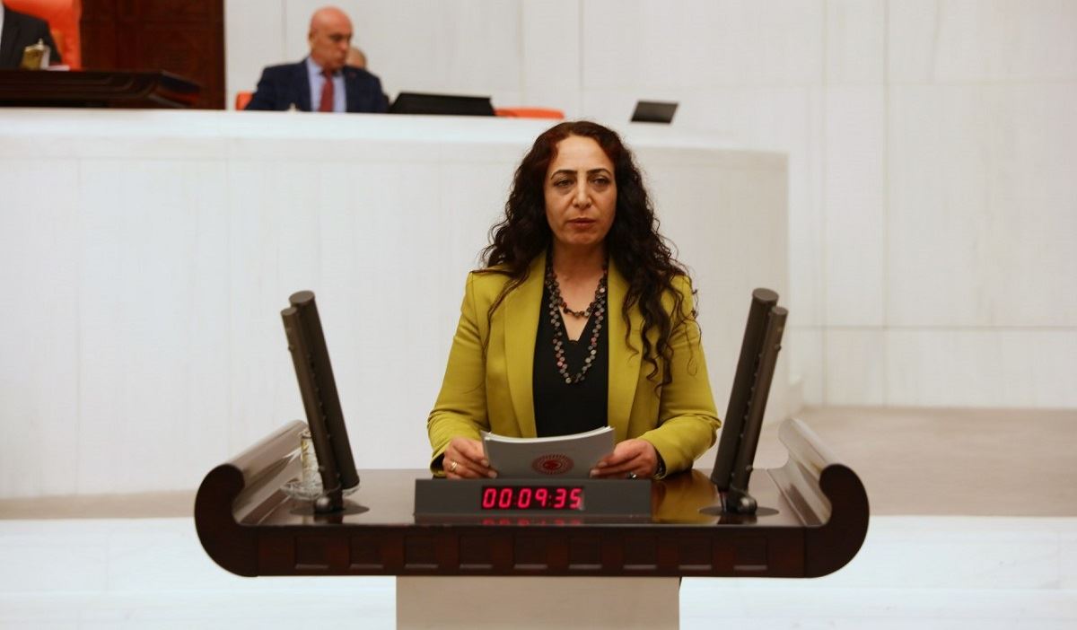 HDP, Erciş’te artan balık ölümlerini meclis gündemine taşıdı