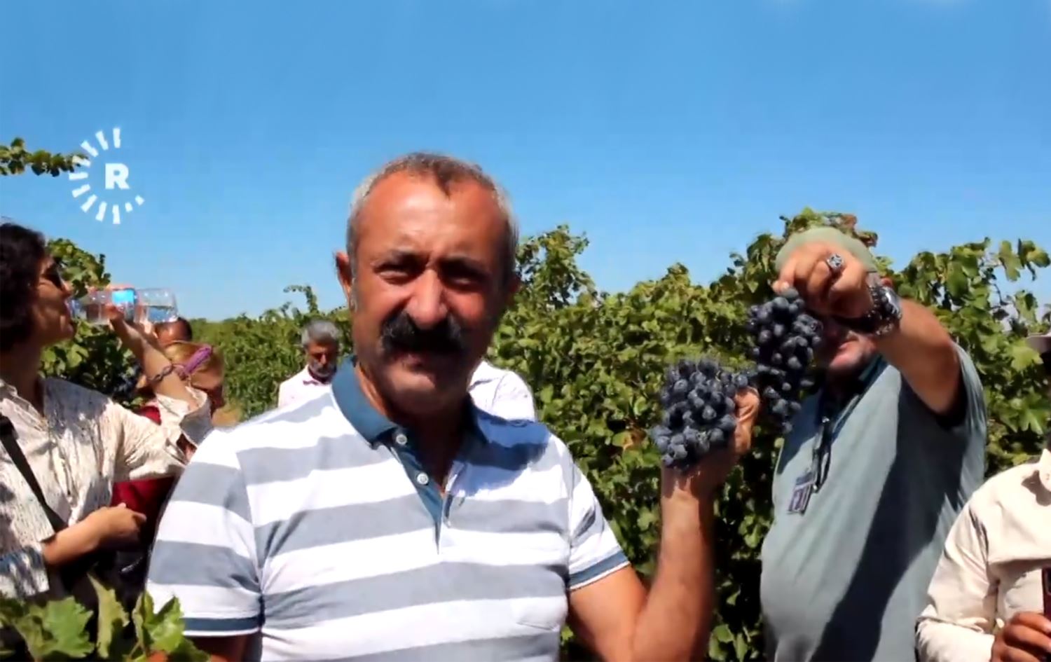 Halay eşliğinde bağ bozumu ve üzüm hasadı yapıldı