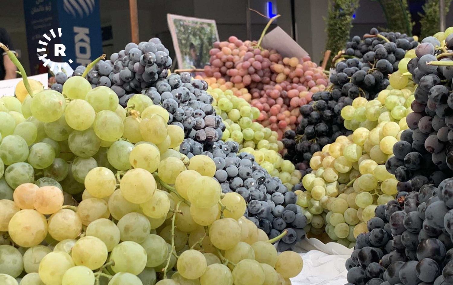 A sweet exhibit: Duhok honey and grapes on show