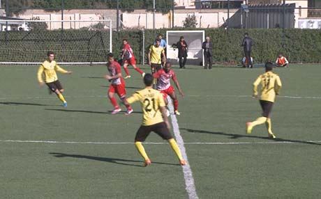 کۆنفرانس و تیروپشکی خولەکانی کوردستان بەڕێوەدەچێت