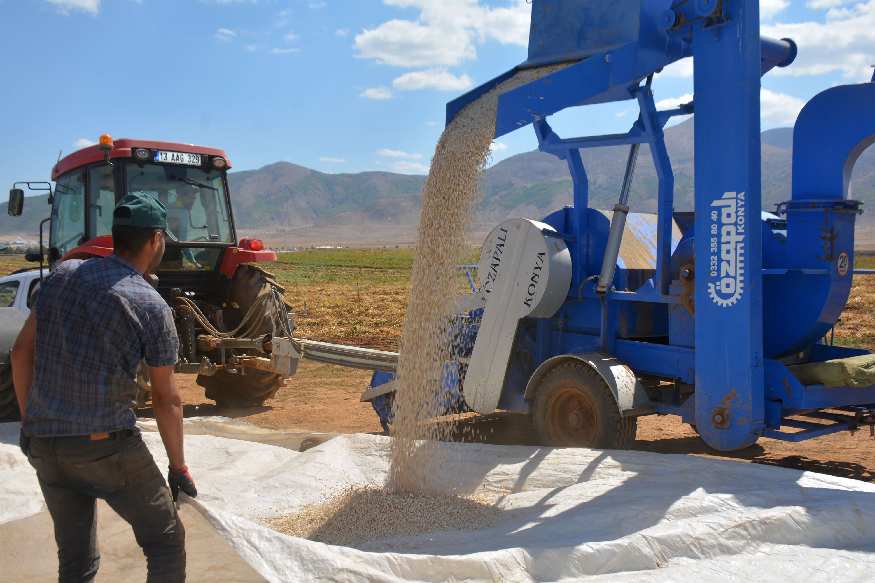Li Bedlîsê çinîna fasûliyên hişk destpê kir