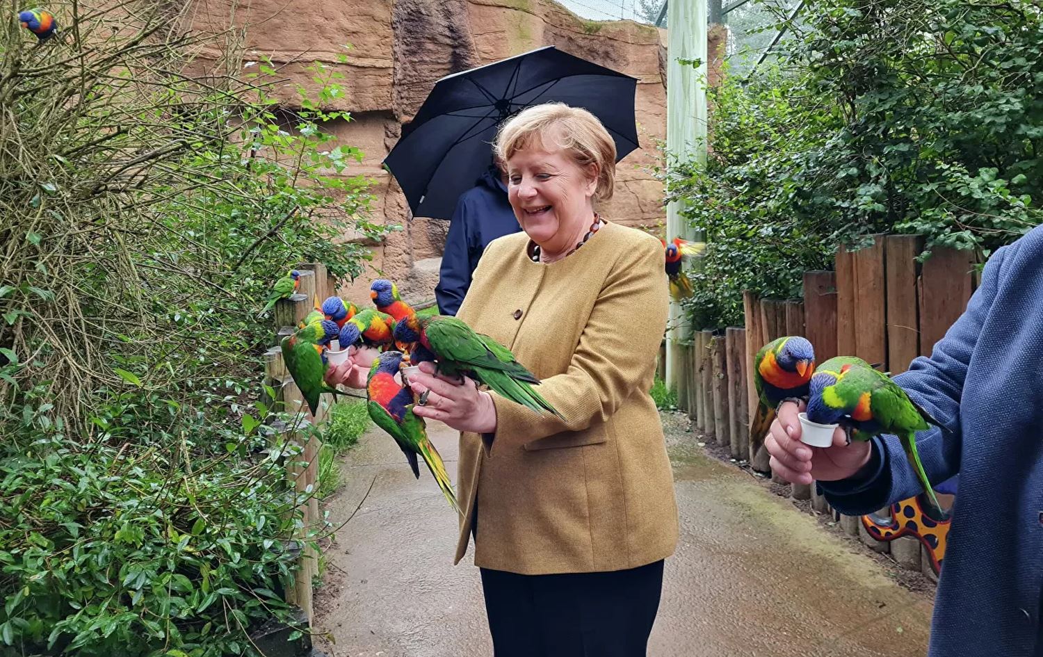 Almanya Başbakanlık görevini bırakmaya hazırlanan Merkel kuş parkını ziyaret etti