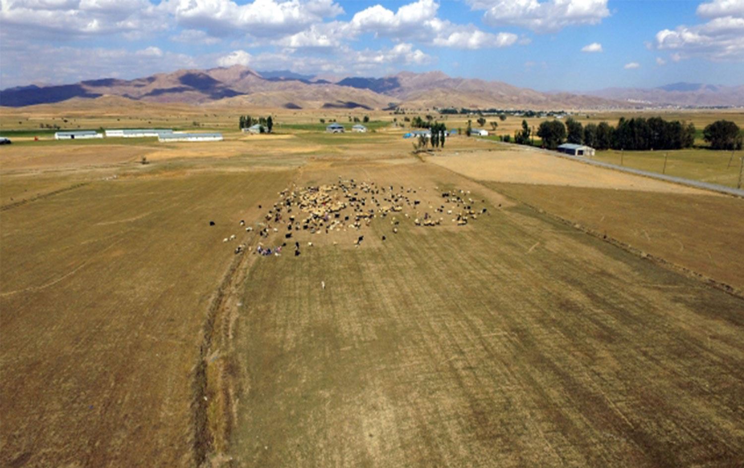 Yüksekova, son 50 yılın en sert kuraklığını yaşıyor