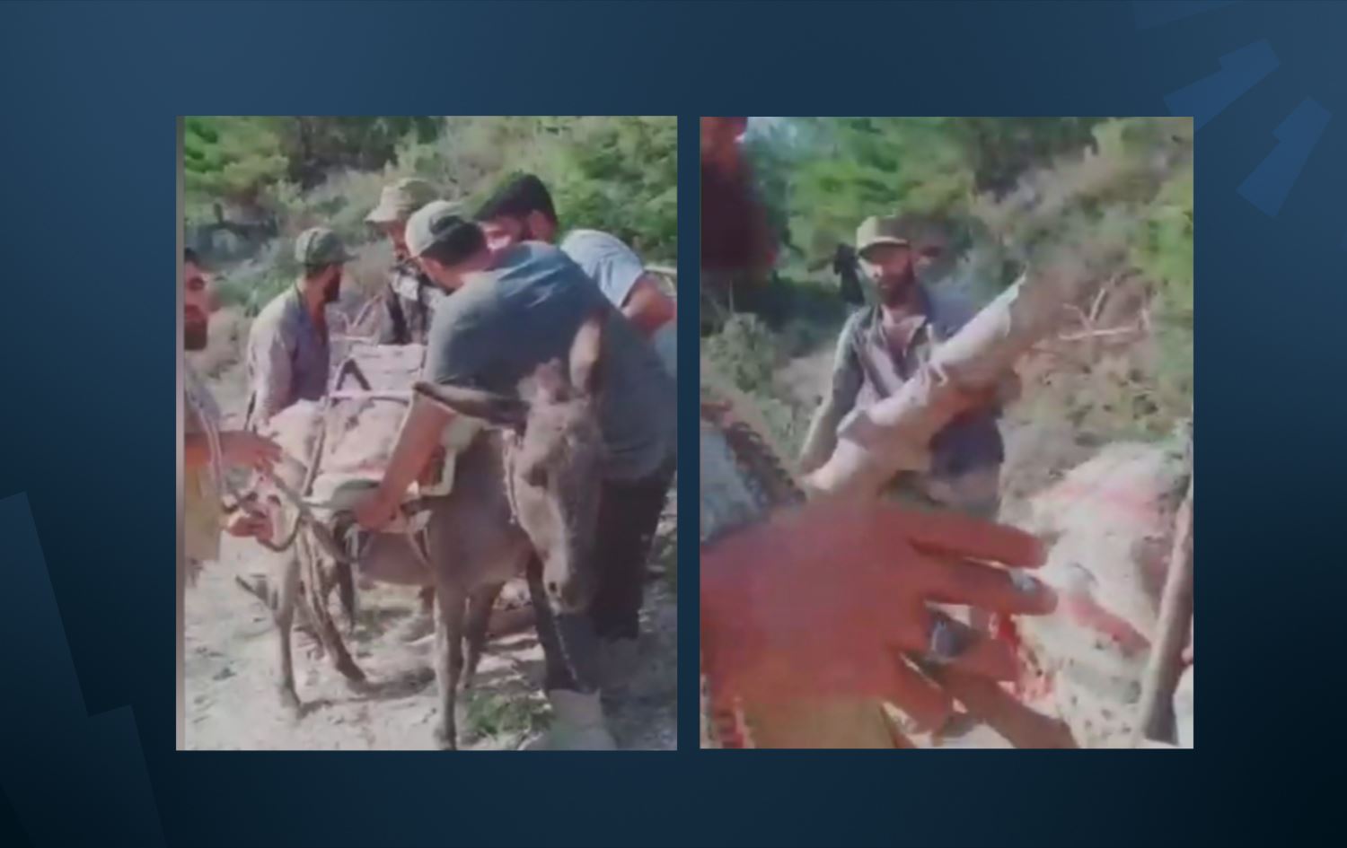 Li Efrînê çekdarên Hemzat darên gundê Maratê dibirin