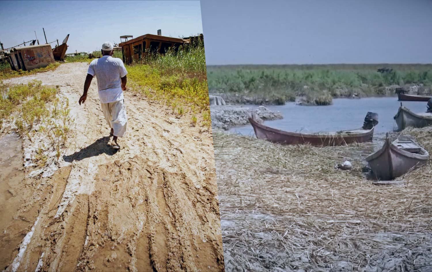 Berhem Salih: İklim krizi Irak'ın geleceği için bir tehdit