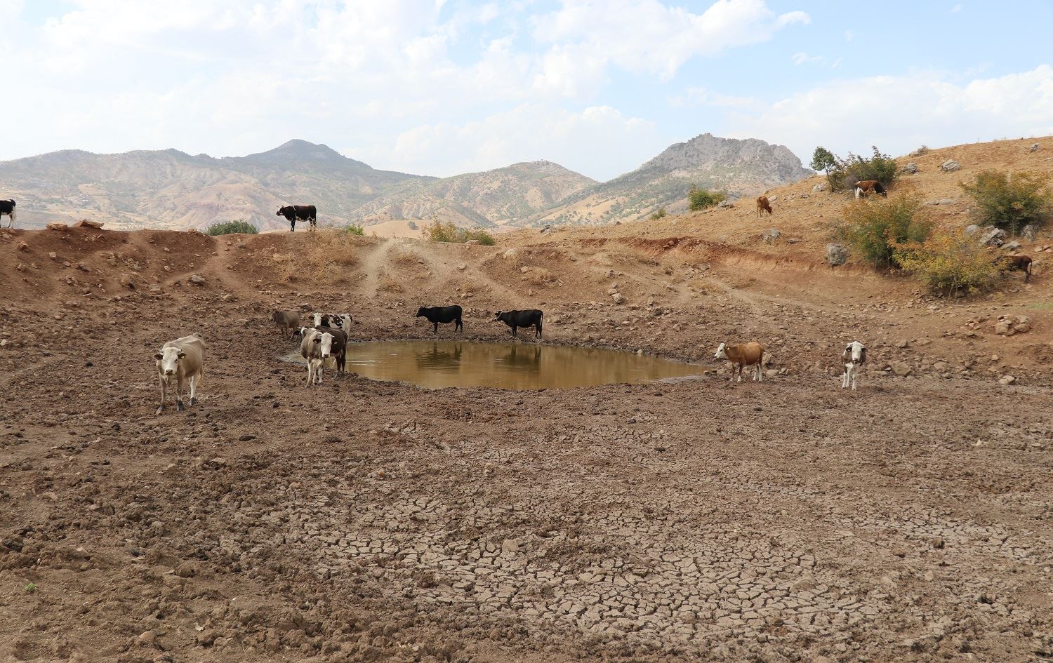 Hişkesalî bandoreke nerênî li ajeldarên Êlihê dike