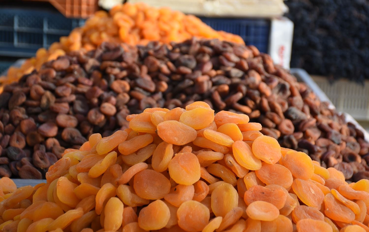 Ji Meletiyê zêdeyî 225 milyon dolaran mişmiş hatiye hinardekirin