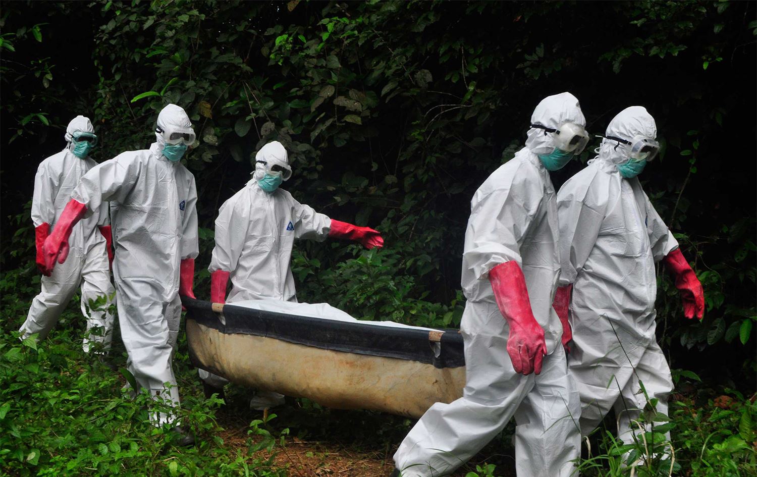 Ebola vakası 5 ay sonra yeniden tespit edildi!