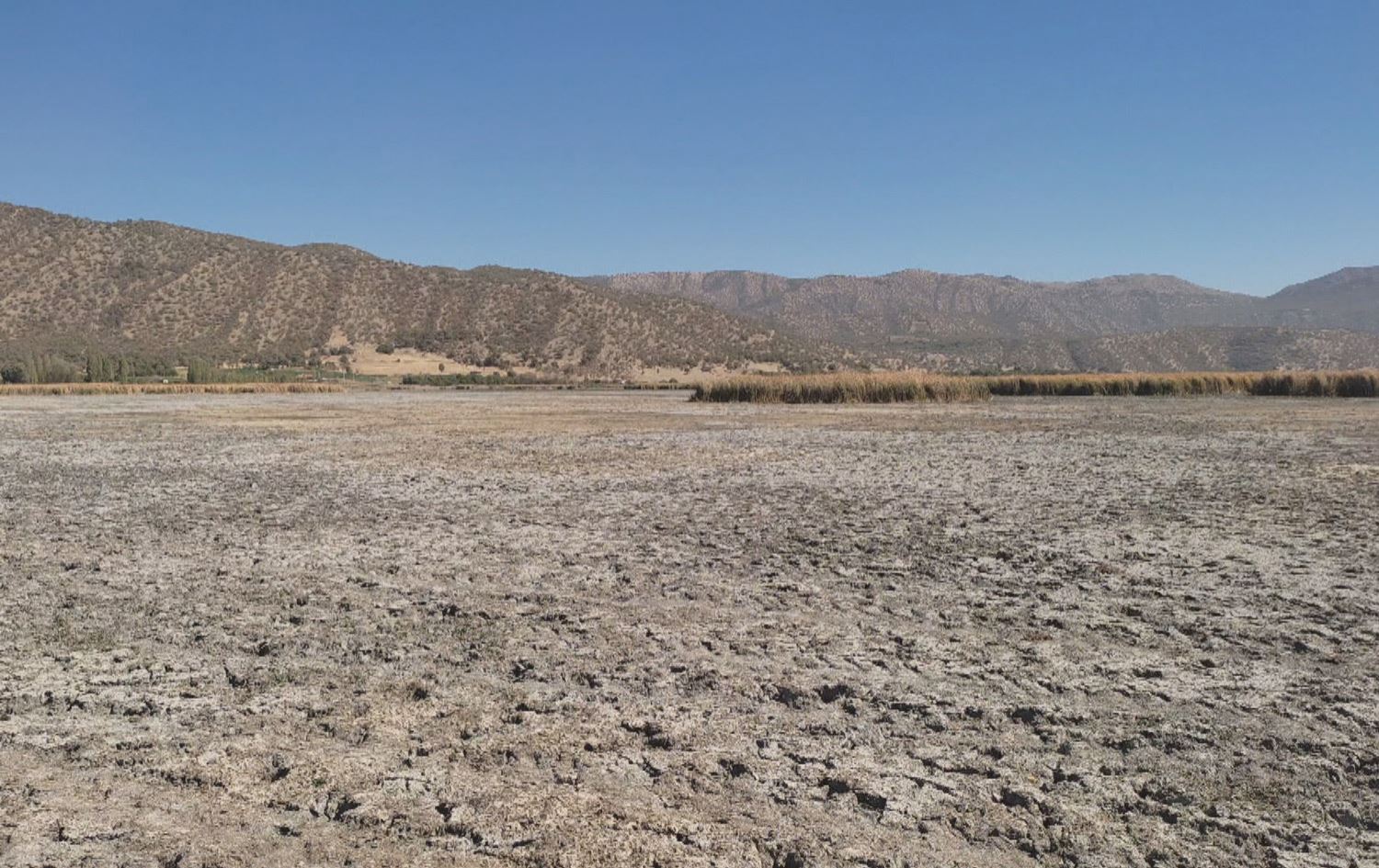 ئاوی گۆلی زرێبار بەشێوەیەکی بەرچاو کەمیکردووە