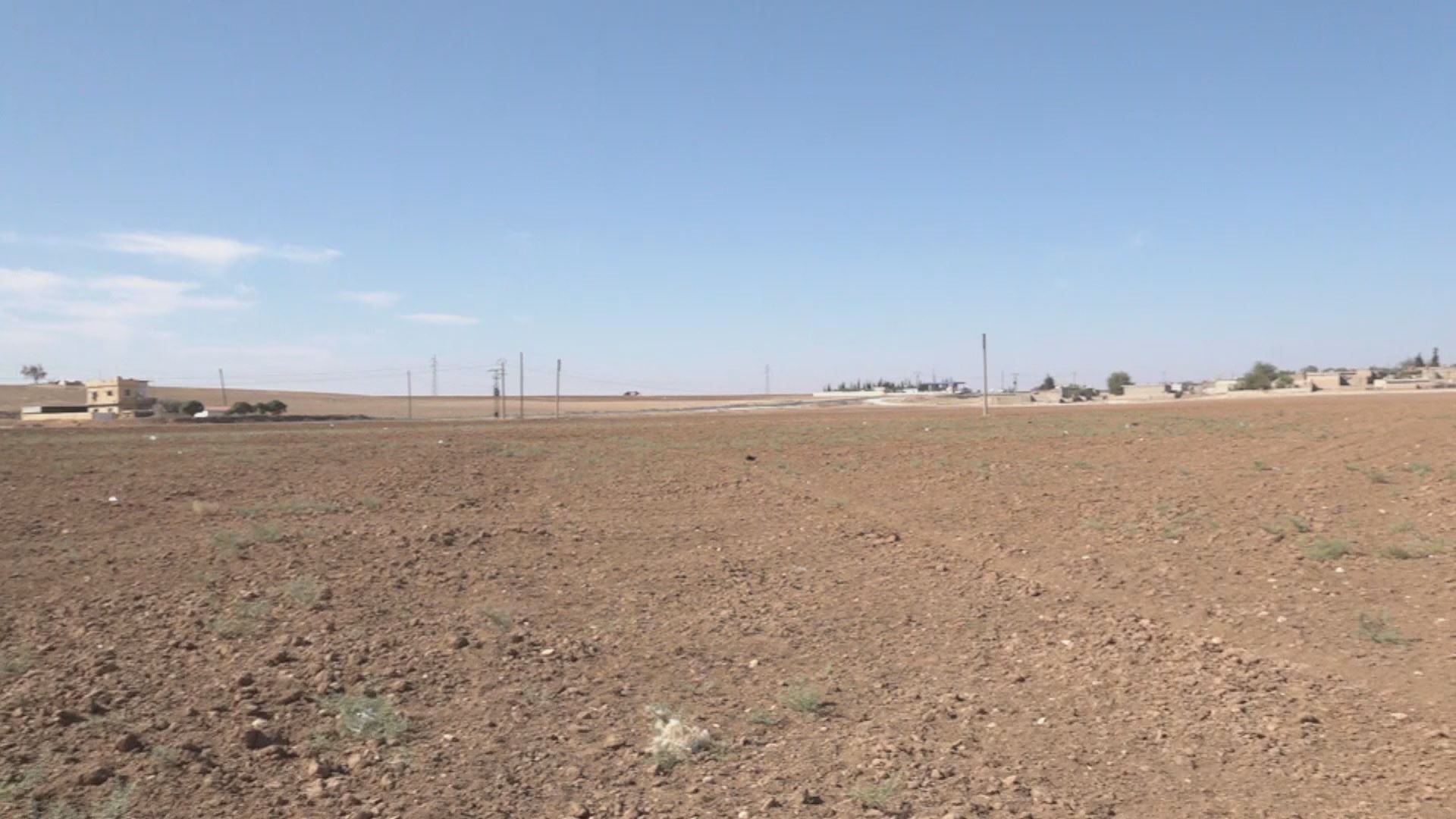 Beşek ji cotkarên Rojavayê Kurdistanê zeviyên beyar dihêlin