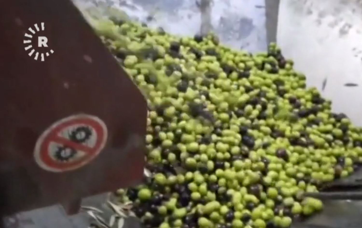 Li Efrînê grûpa Emşat %25 bac li ser xwdiyên zeytûnan sepandiye