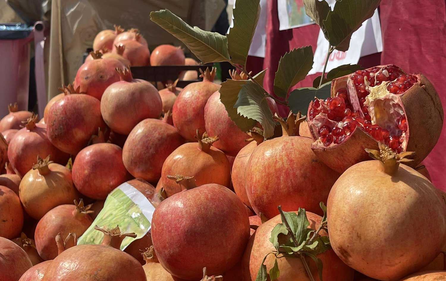 رێکخەرێکی فیستیڤاڵی هەنار: نزیکەی 200 هەزار گەشتیار سەردانی هەڵەبجەیان کرد