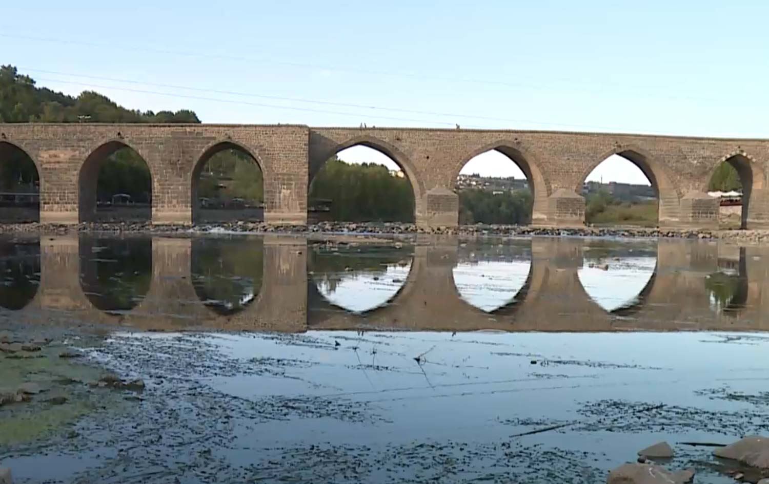 Di Çemê Dîcleyê de bi hezaran masî mirar bûn