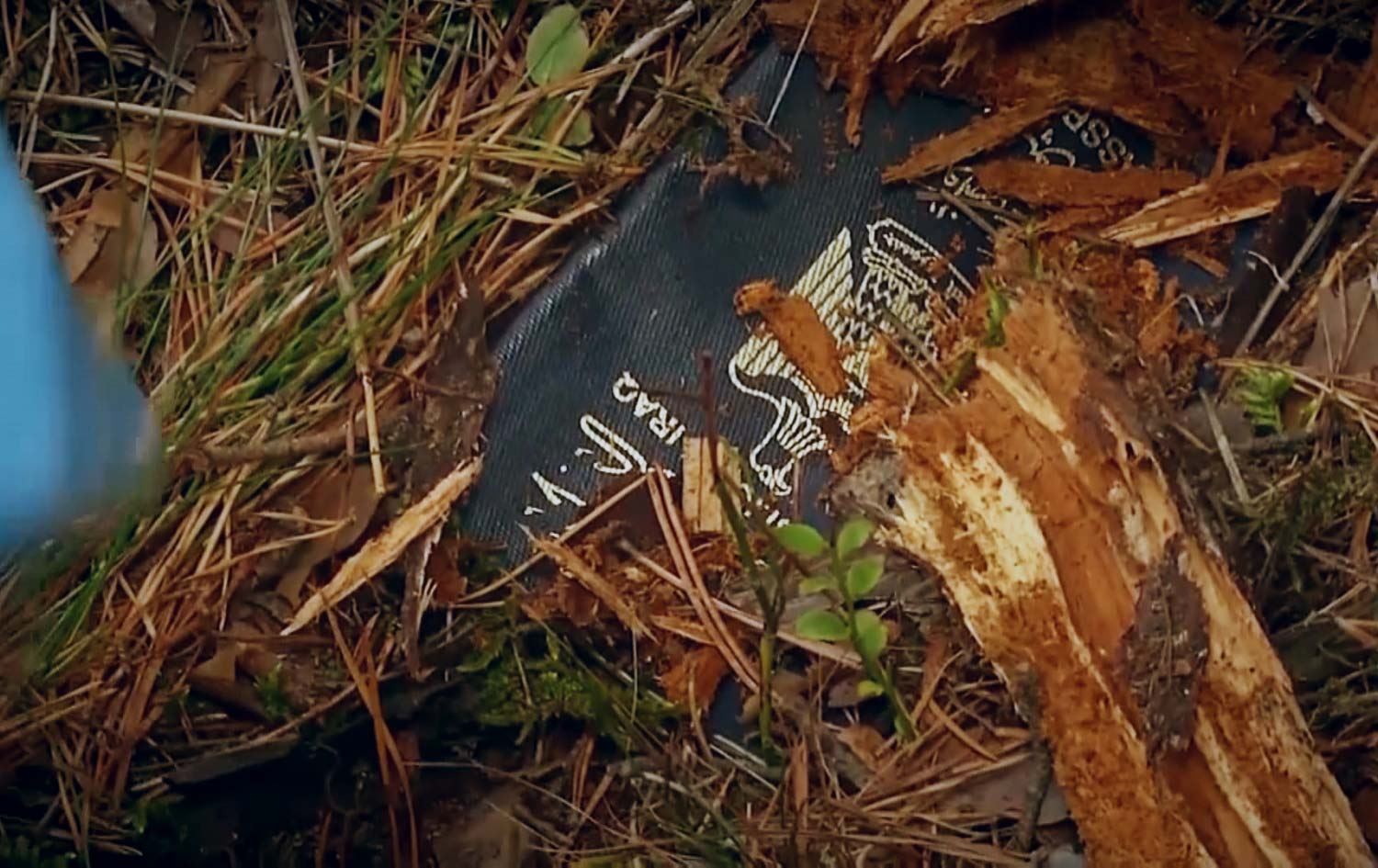 Koçberên Kurd û Iraqî pasaportên xwe li bin giya vedişêrin