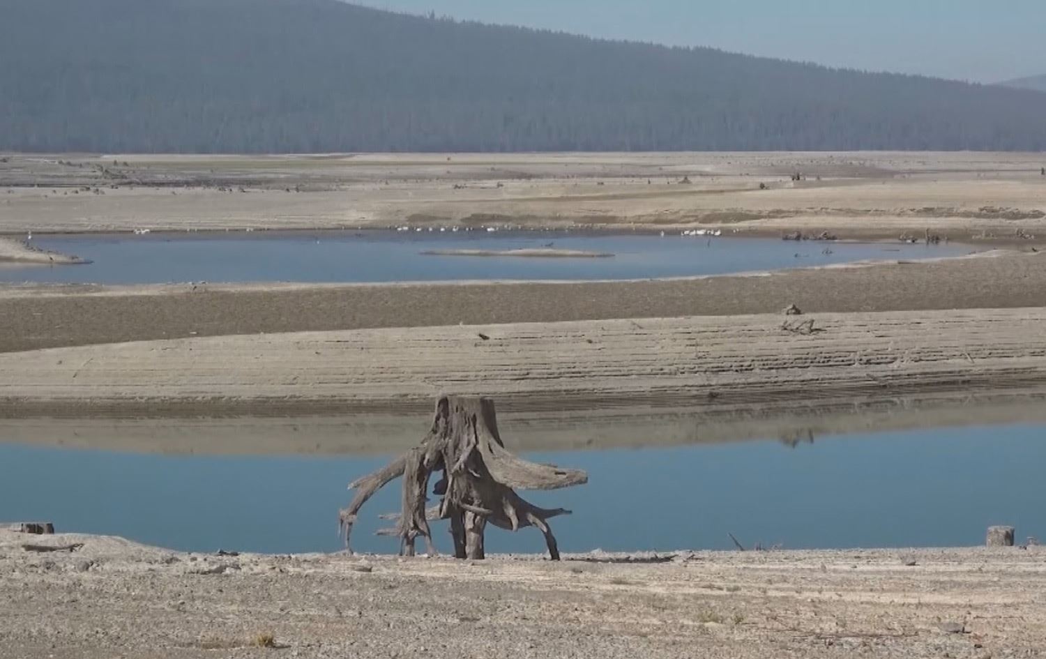 لە ئەمریکا لەبەر وشکەساڵی پەنا بۆ شیرینکردنی ئاوی دەریا دەبردرێت