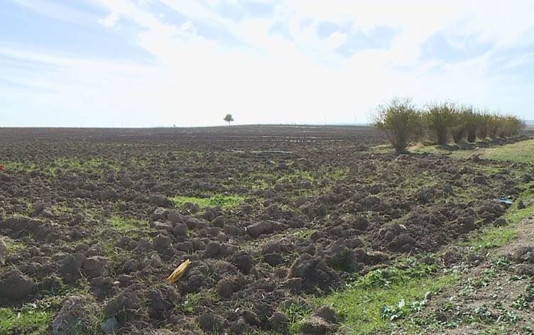 Li Kerkûkê Erebên hawirde hewl didin îsal jî dest danin ser zeviyên Kurdan