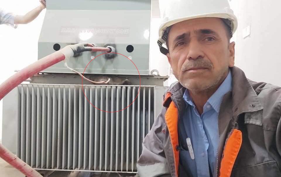 پشیلەیەک نەخۆشخانەی کۆرۆنا لە چوارقوڕنە بێ کارەبا دەکات