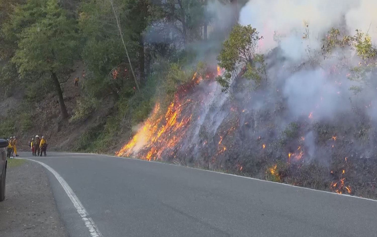بەشێک لە خەڵکی کالیفۆرنیا بە مەبەست ئاگر لە دارستانەکان بەردەدەن