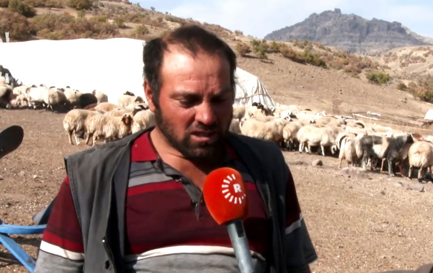 DERSİM - Sürü sahipleri kurak geçen yılın ardından endişeli