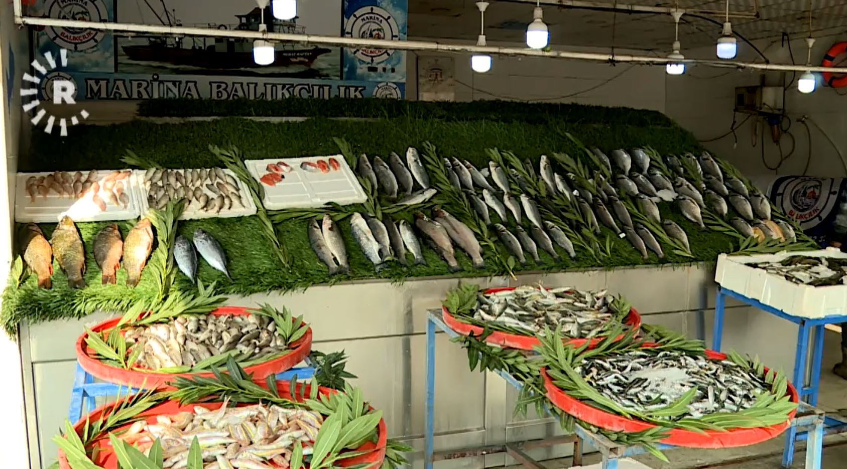 Ji ber bihabûna goştê sor xelk berê xwe dide masiyan