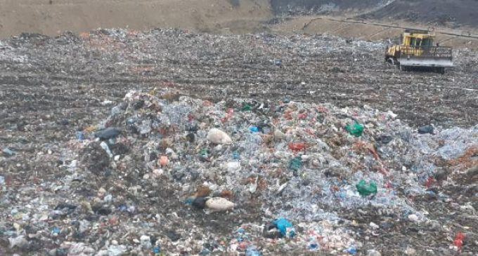 Çöplükte bebek cesedi bulundu