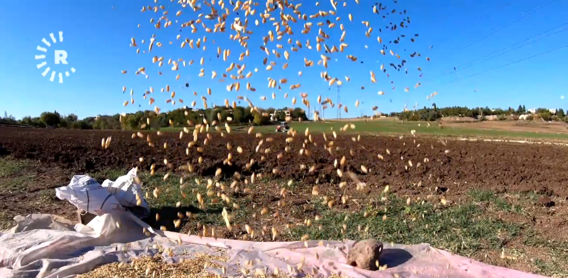 Hişkesaliyê ziyanên mezin da cotkarên Bakurê Kurdistanê