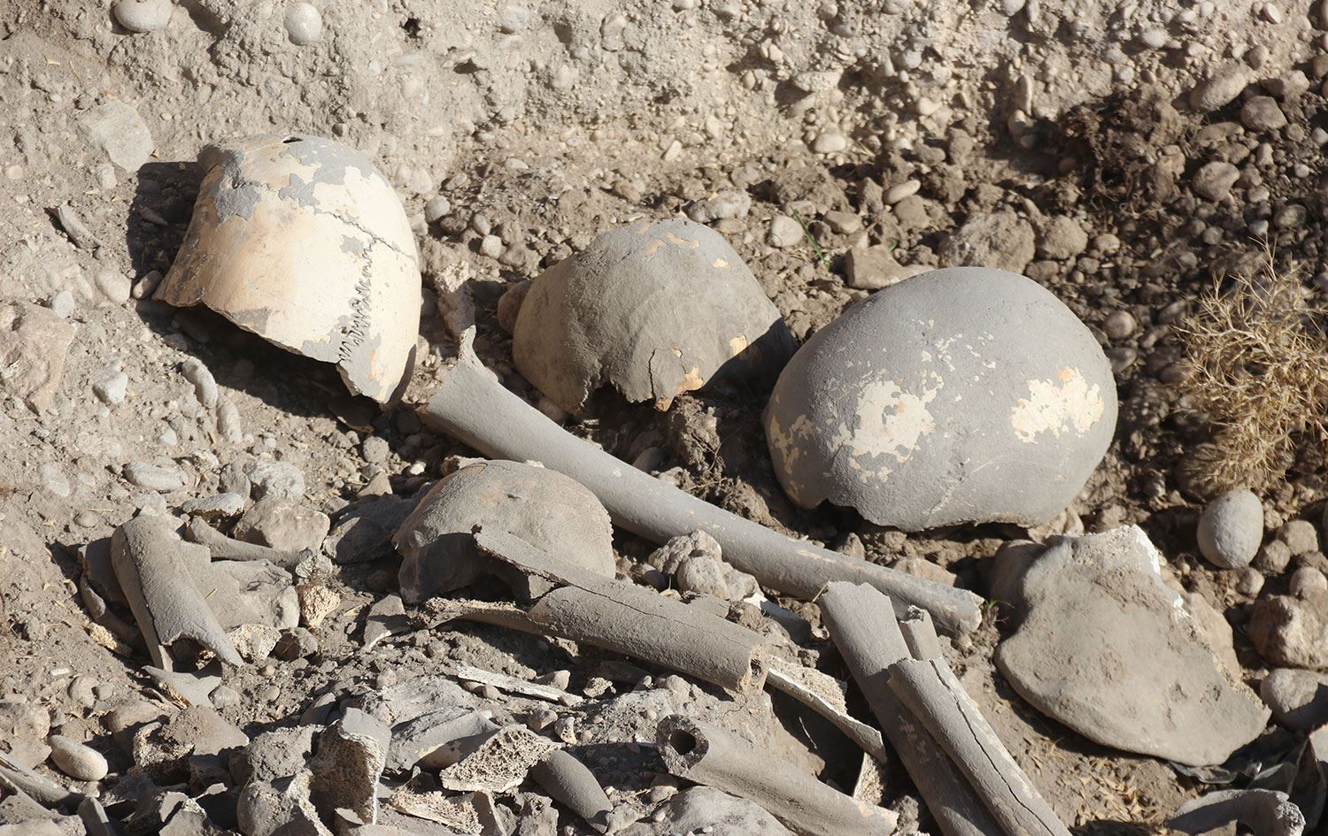 Van'da, Demir Çağı'na ait insan kemikleri bulundu