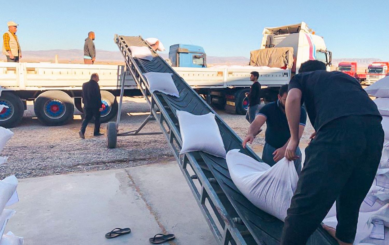 Rêveberiya Xweser û hikûmeta Sûriyê tovên ceh û genim didin cotkaran