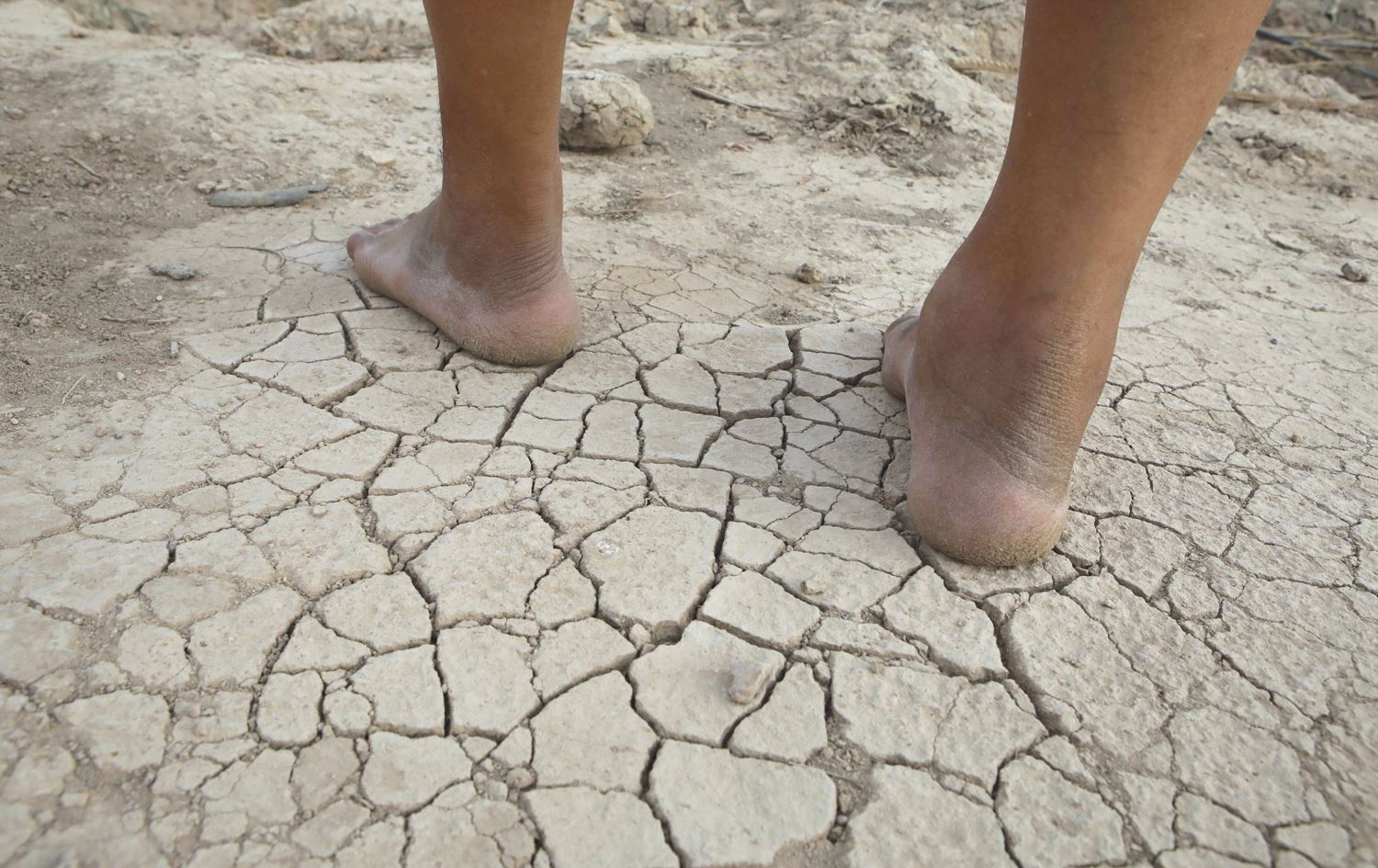 البنك الدولي يحذر العراقيين: المياه لن تصل إلى ثلث الأراضي المروية في 2050