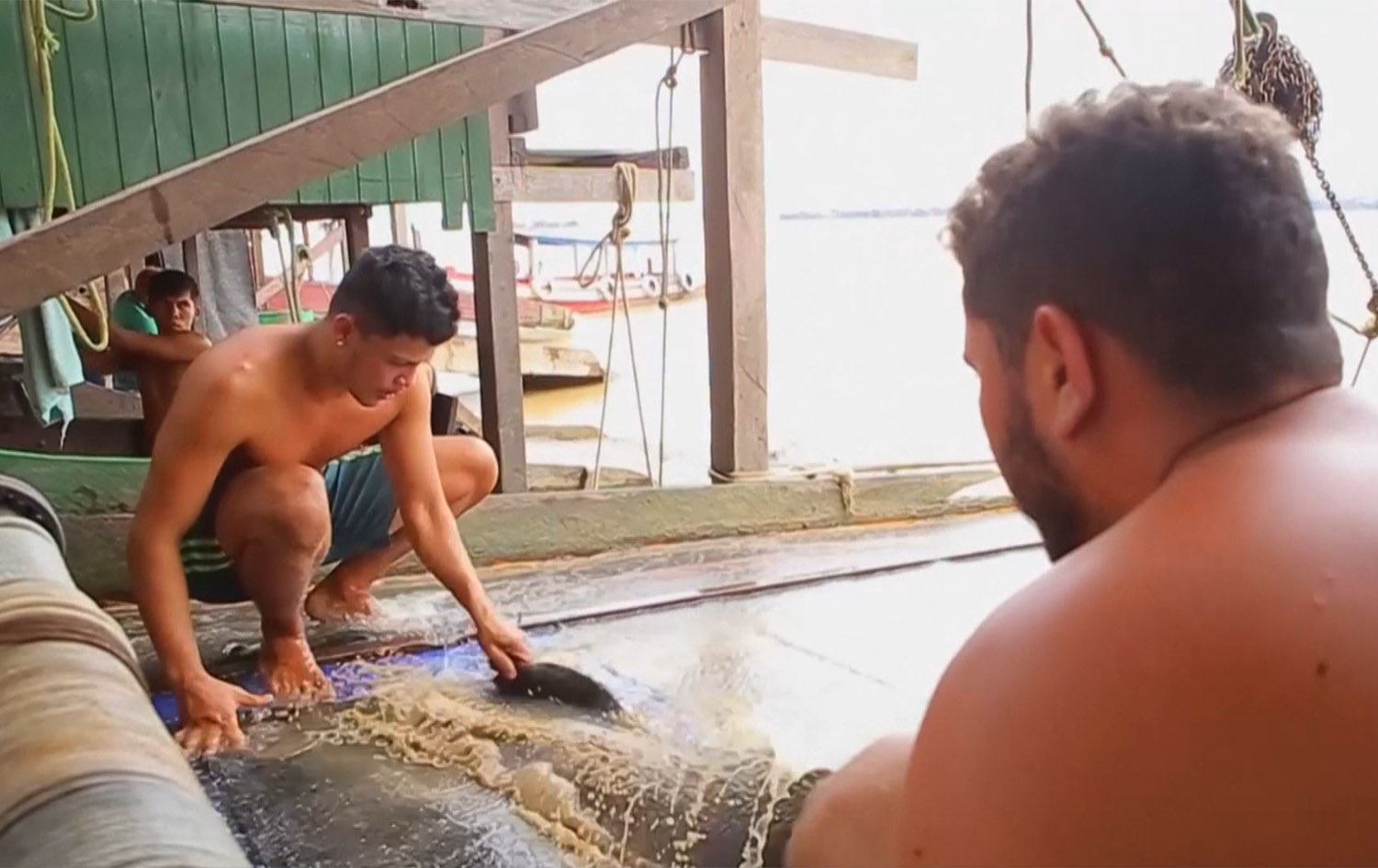 لە رووبارێکی ئەمازۆن زێڕ دەردەهێندرێت