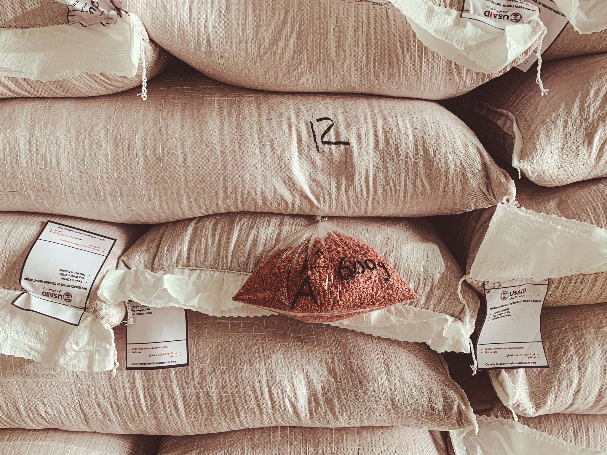 USAID: Tovên ji bo Rojava hatine şandin bo çandinê guncaw in