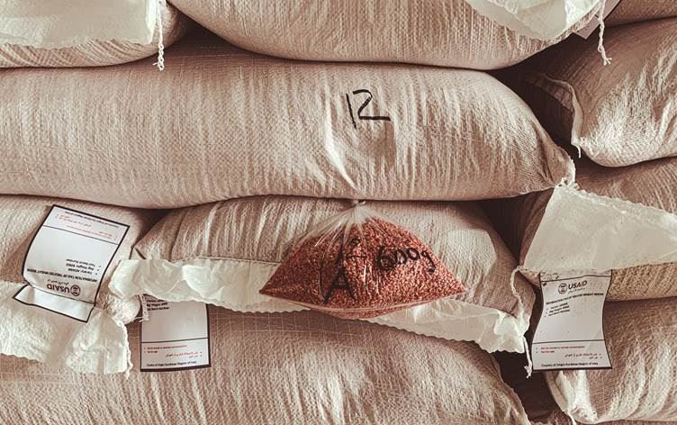 ABD: Rojava’ya gönderdiğimiz buğdayda hastalık yok