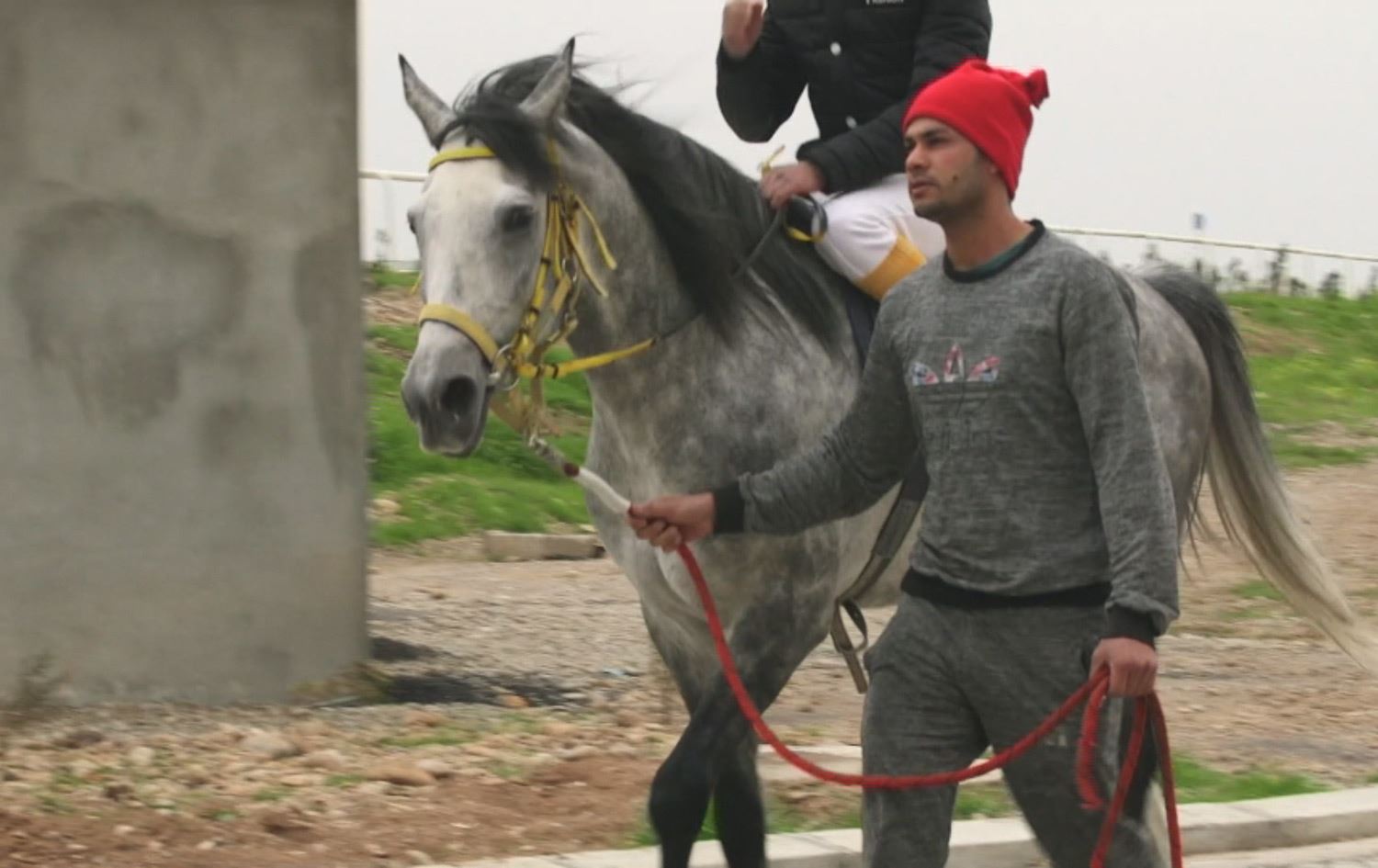 داهاتی ساڵانەی بەخێوگەیەکی ئەسپ لە باکووری کوردستان نزیکەی ملیۆنێک دۆلارە